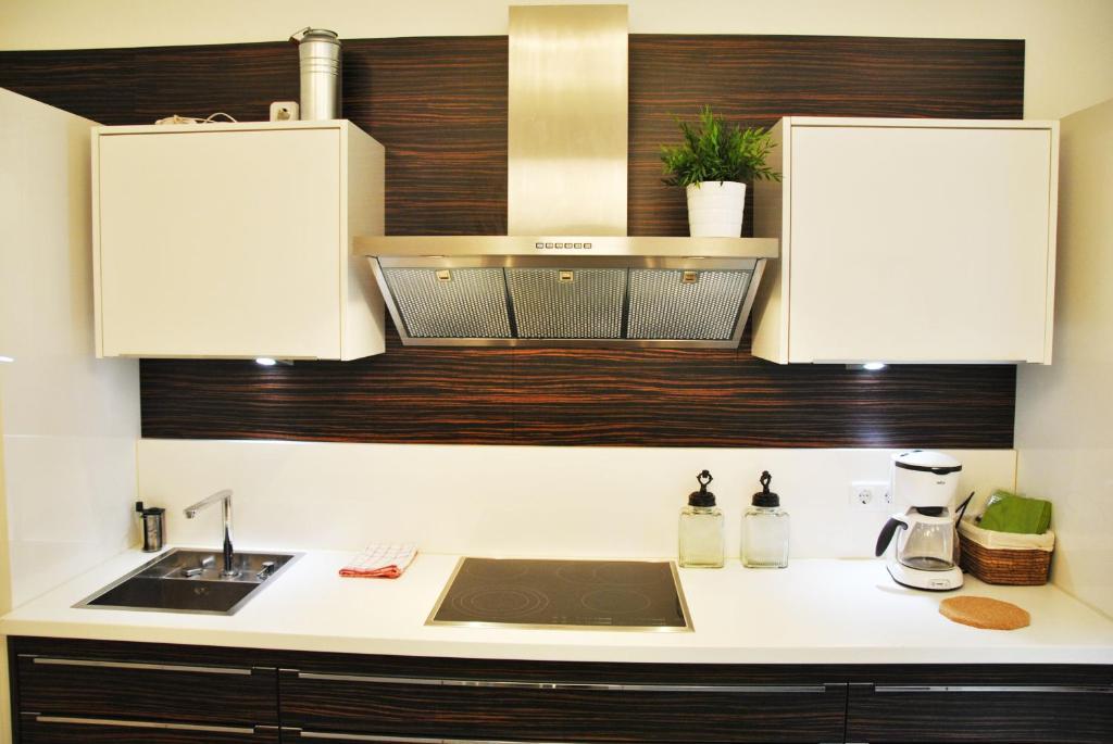 Schoenbrunn Park Apartement Βιέννη Δωμάτιο φωτογραφία
